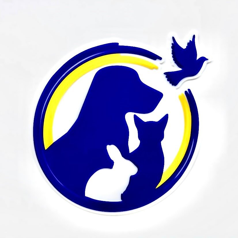 کلینیک دامپزشکی دکتر صفا محمودی نژاد